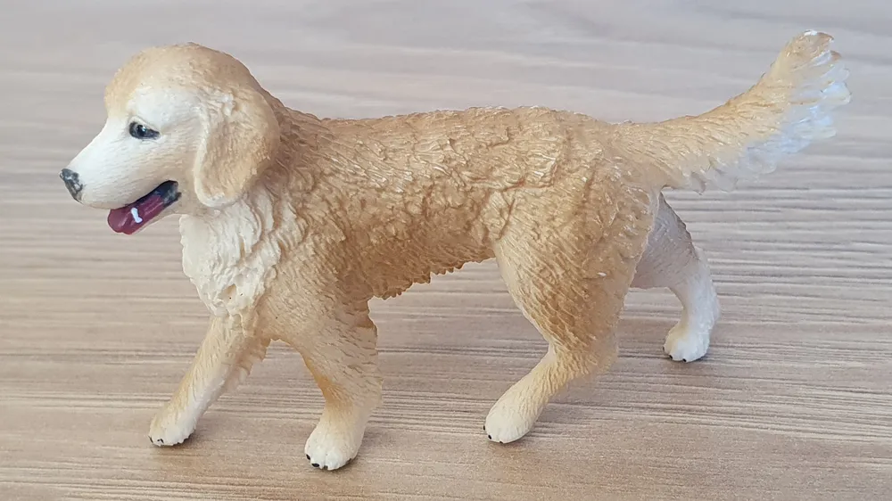 zlatý retrívr 16395, model 2013