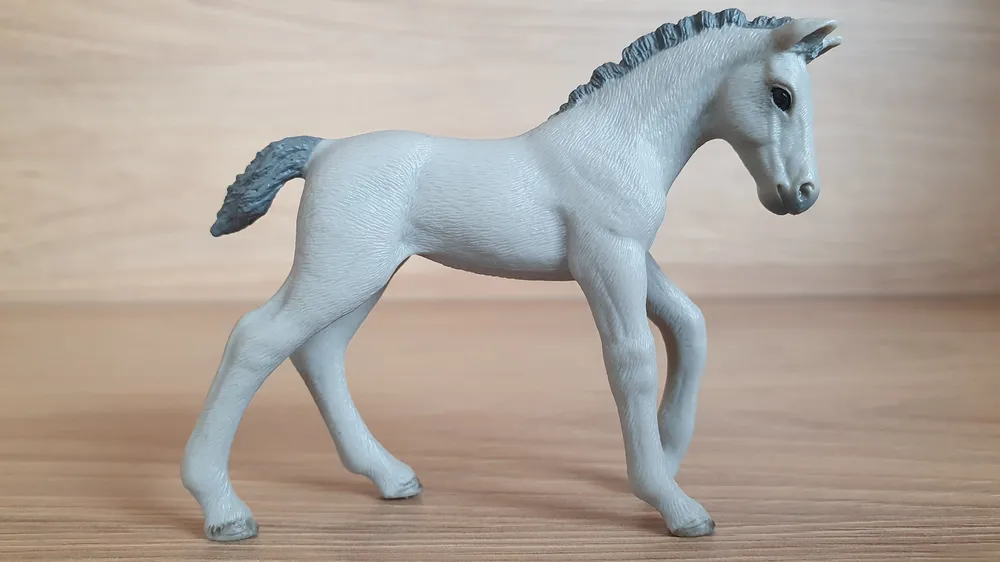 Trakehner hříbě 98269, model 2013