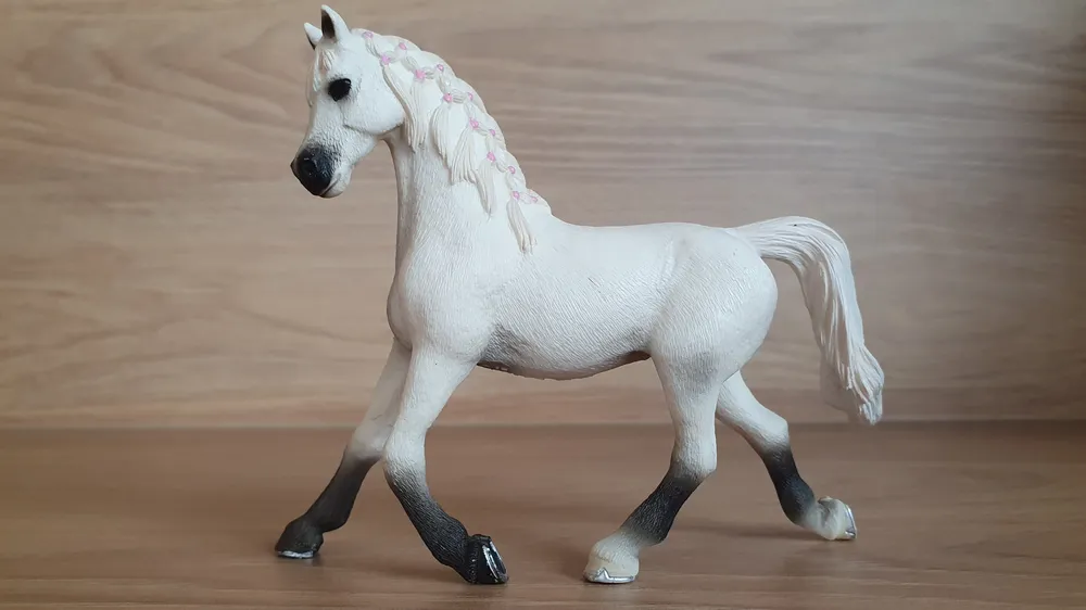 Bílá arabská klisna 13761, model 2013