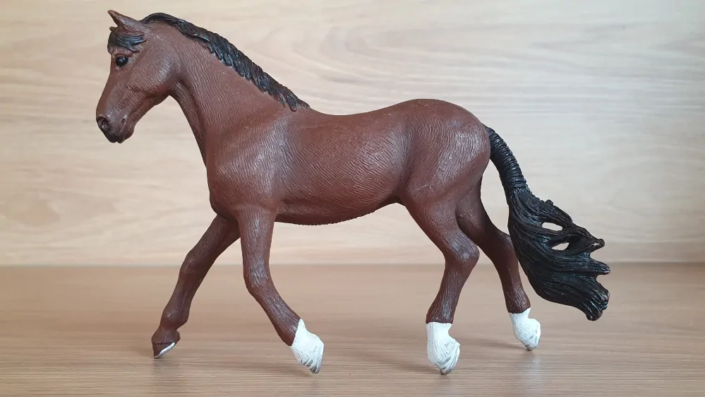 Trakehner valach 13909, model 2019