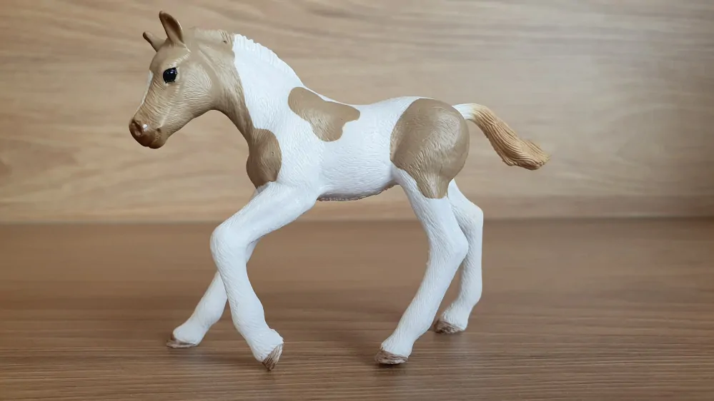 Paint hříbě 13886, model 2018