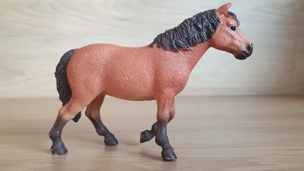 Dartmoorský poník 13873, model 2017
