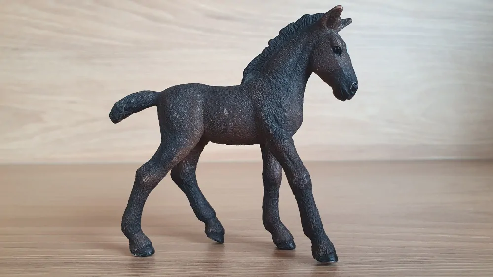 Lipicánské hříbě 13820, model 2016