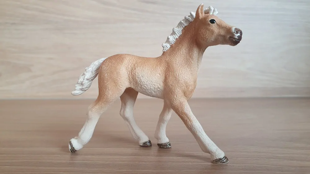 Haflingerské hříbě 13814, model 2015