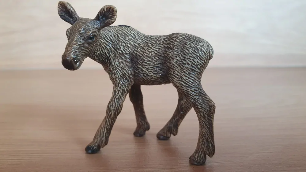 los mládě 14621, model 2009