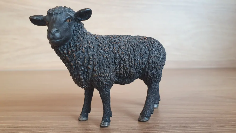 ovce černá 13785, model 2013