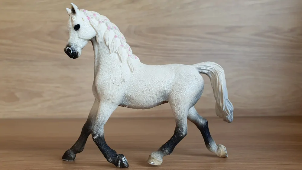 Bílá arabská klisna 13761, model 2013