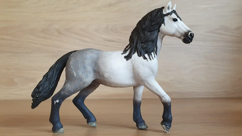 Andaluský hřebec 13821, model 2016