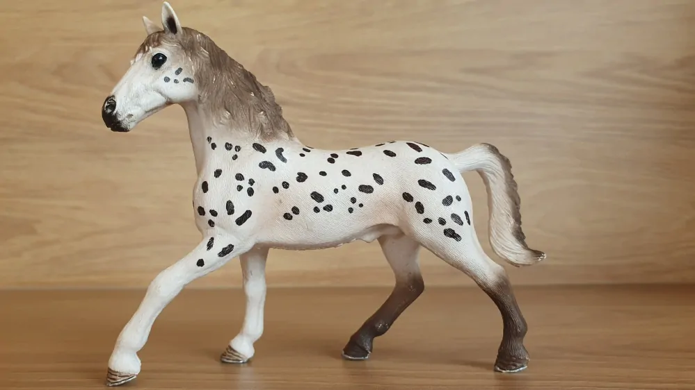 Knabstrupperský hřebec 13889, model 2018