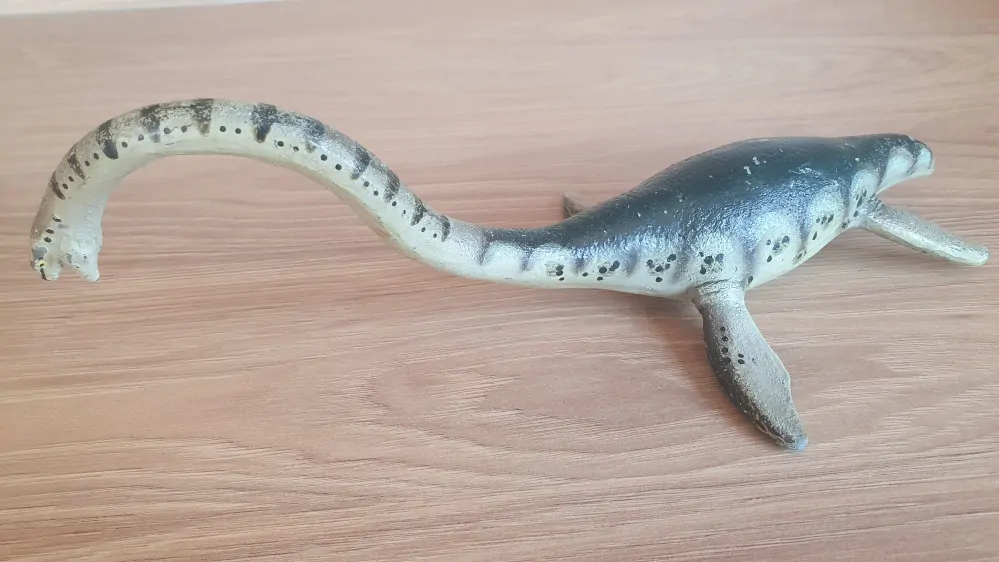 Elasmosaurus 15419, model 1991