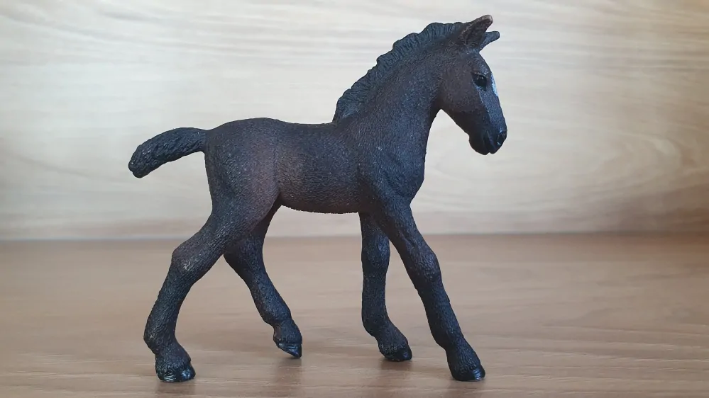 Lipicánské hříbě 13820, model 2016