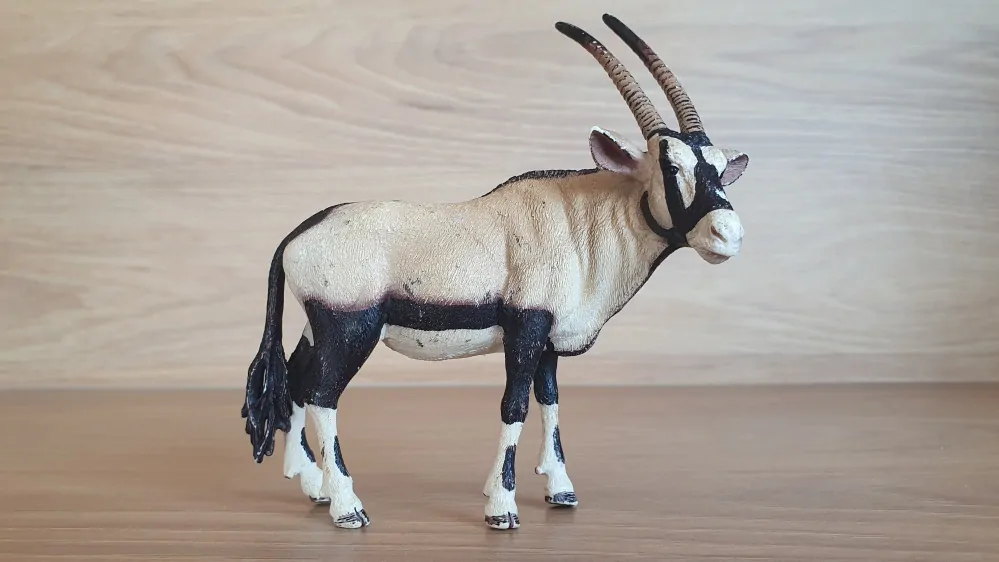 antilopa Oryx 14759, model 2015
