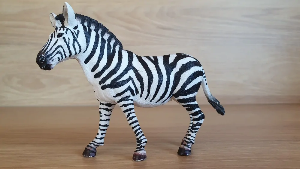 zebra 14810, model 2017