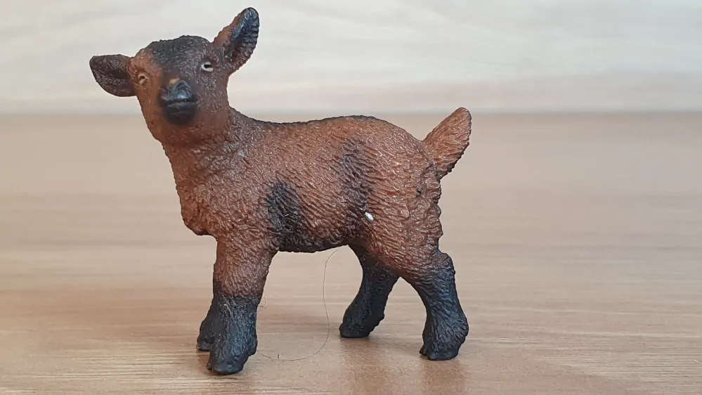 kůzle hnědé 13829, model 2016