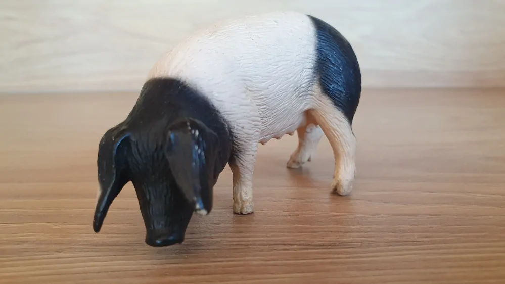 prasnice švábská 13612, model 2015