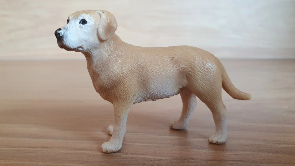 labrador 16386, model 2009