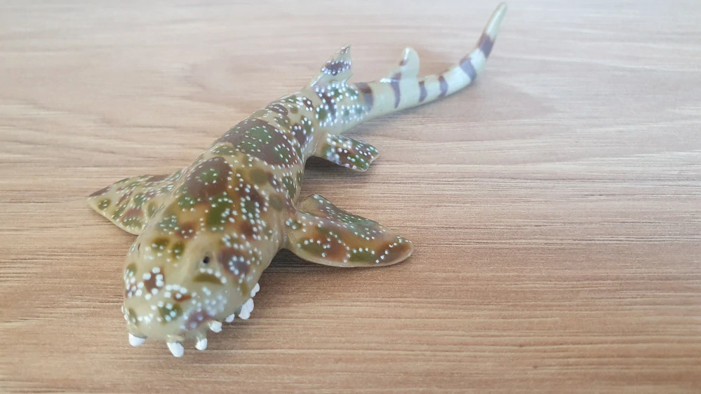 Wobbegong , ryba ze setu 42328