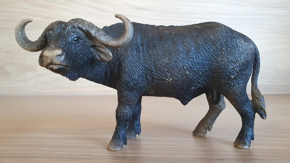 buvol 14640, model 2010