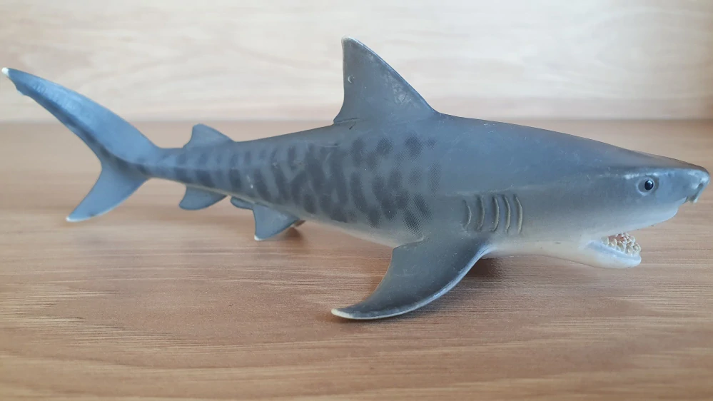 žralok tygří 14765, model 2015