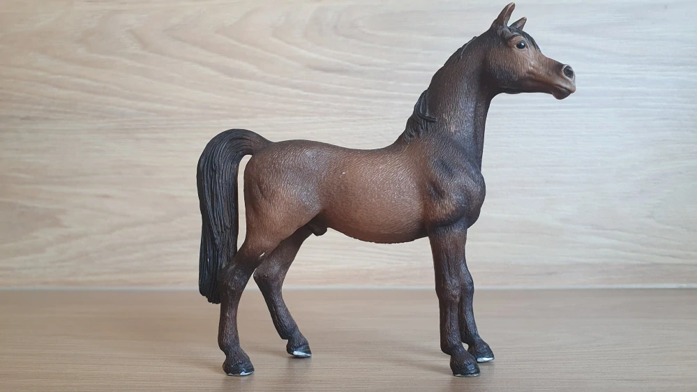 Arabský hřebec 13629, model 2007