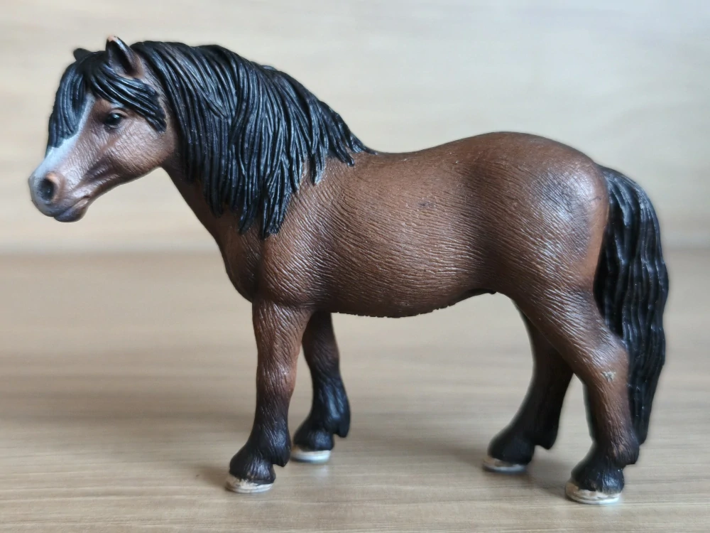 Dartmoorský poník 13651, model 2008