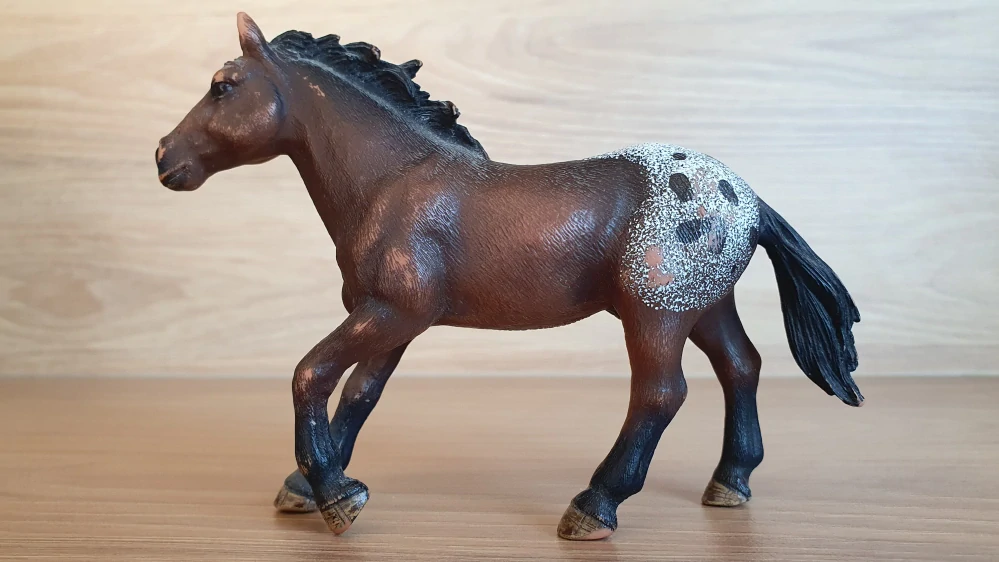 Appaloosa klisna 13732, model 2012