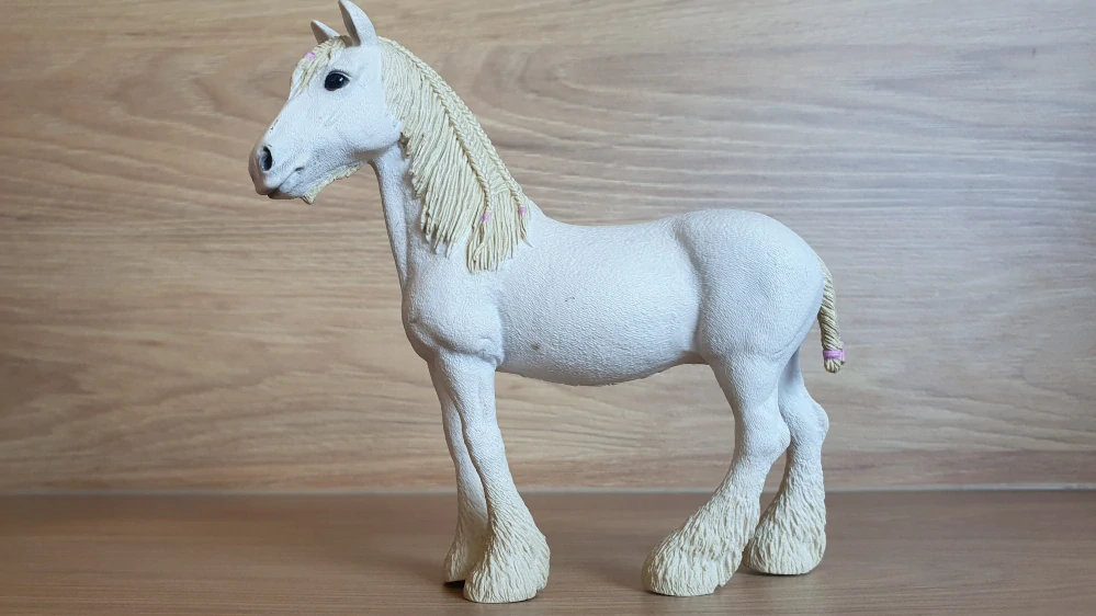Klisna shirská 13735, model 2012