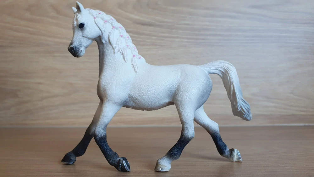 Bílá arabská klisna 13761, model 2013