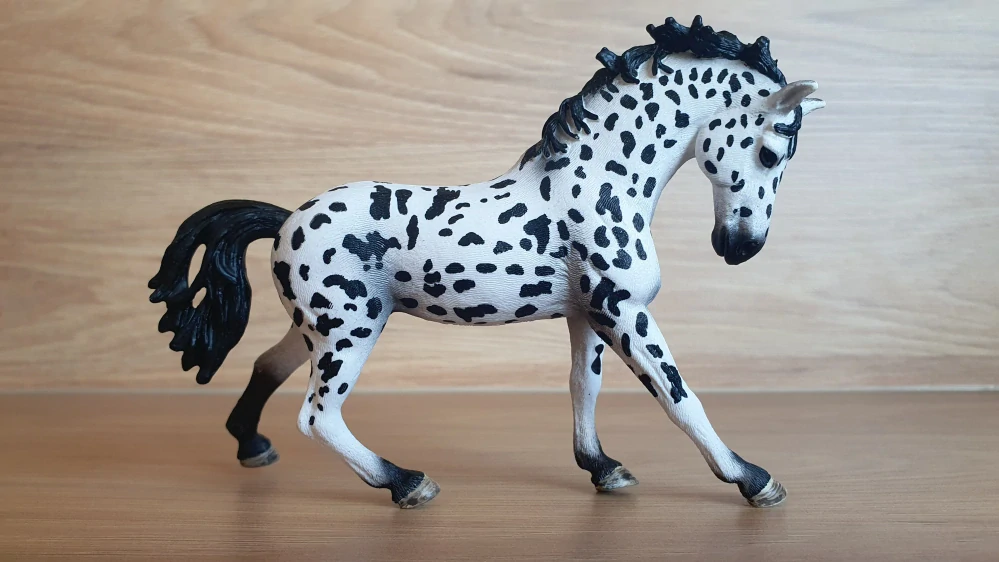 Knabstrupperská klisna 13769, model 2014