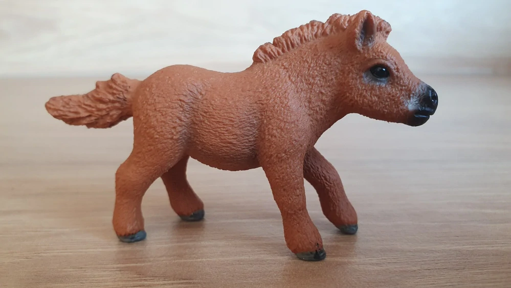 Shetlandský poník 13777, model 2014