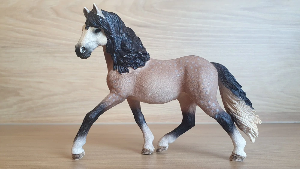 Andaluská klisna 13793, model 2014