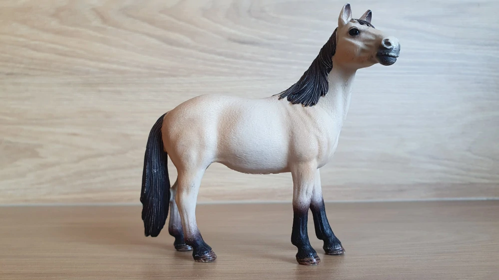 Klisna Mustanga 13806, model 2015