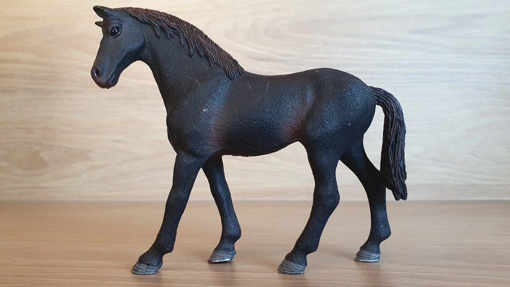 Anglický plnokrevník hřebec 13856, model 2017