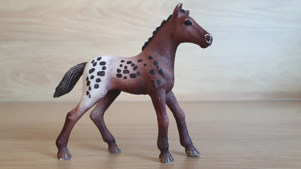 Appaloosa hříbě 13862, model 2017