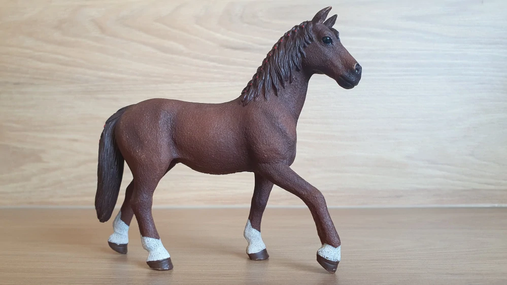 Quarter valach 42416, model 2017