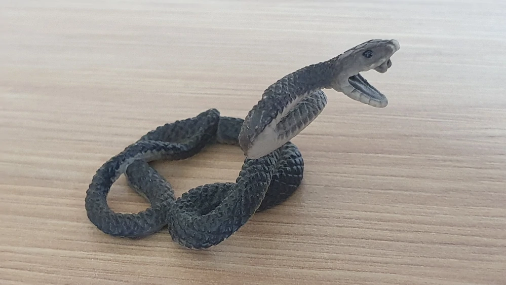 černá mamba ze setu 42258