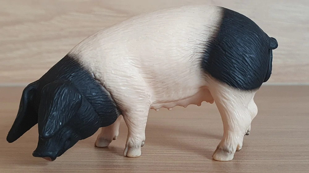 prasnice švábská 13612, model 2005