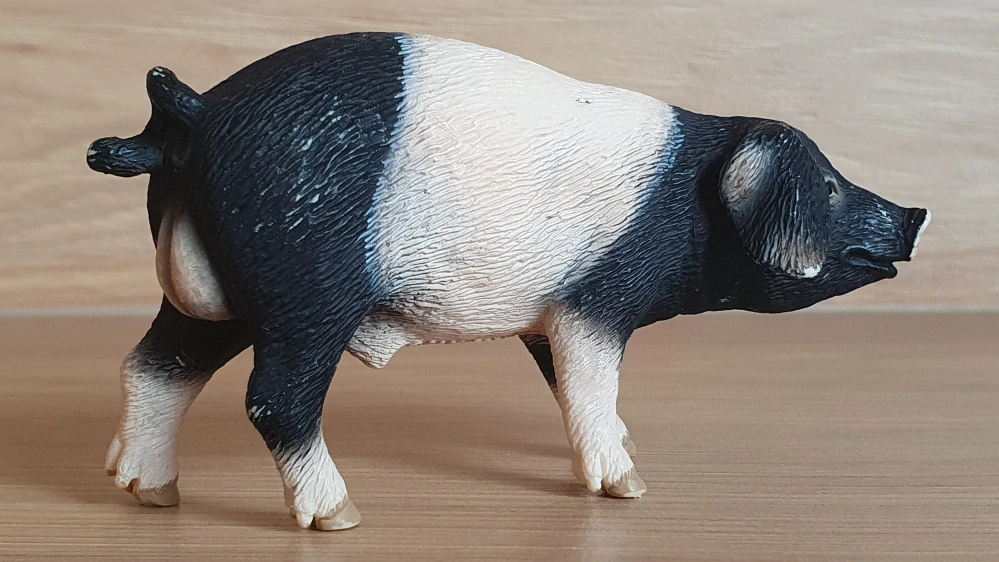 prase švábské 13643, model 2008