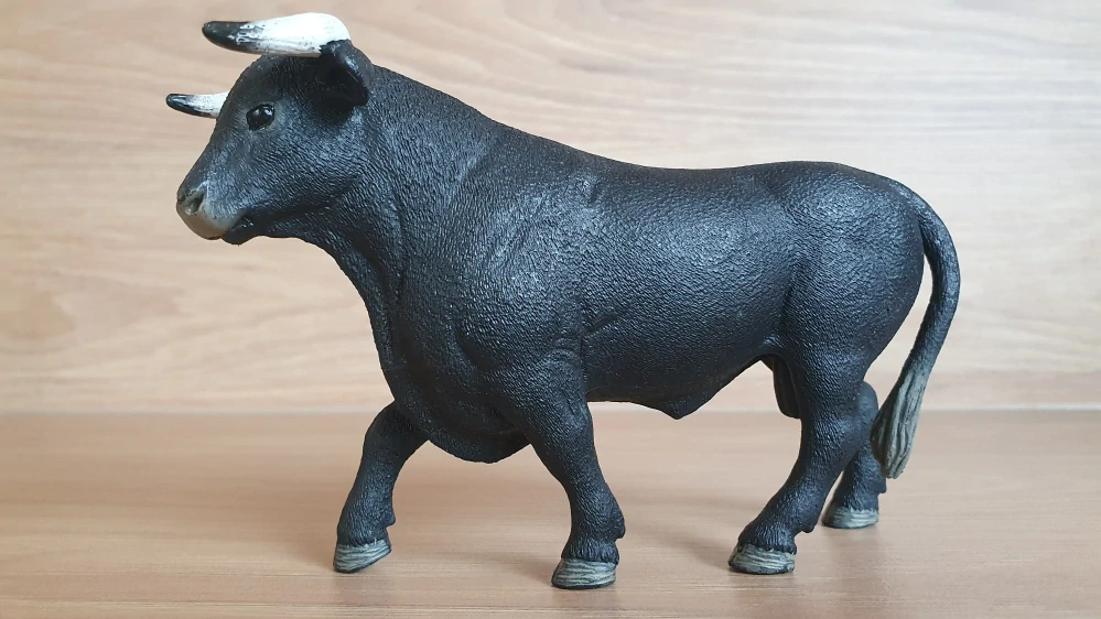 Černý býk 13875, model 2017