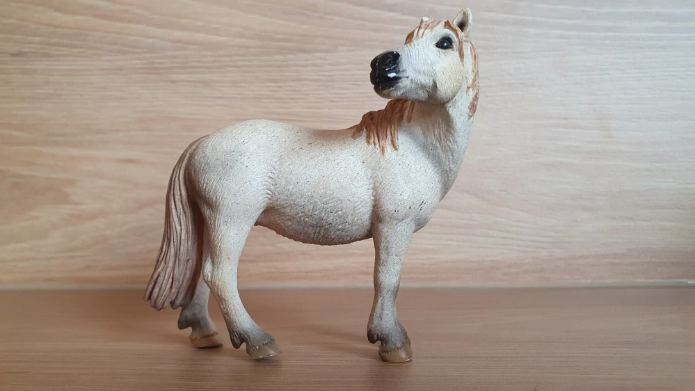 Camargue klisna 13609, model 2005