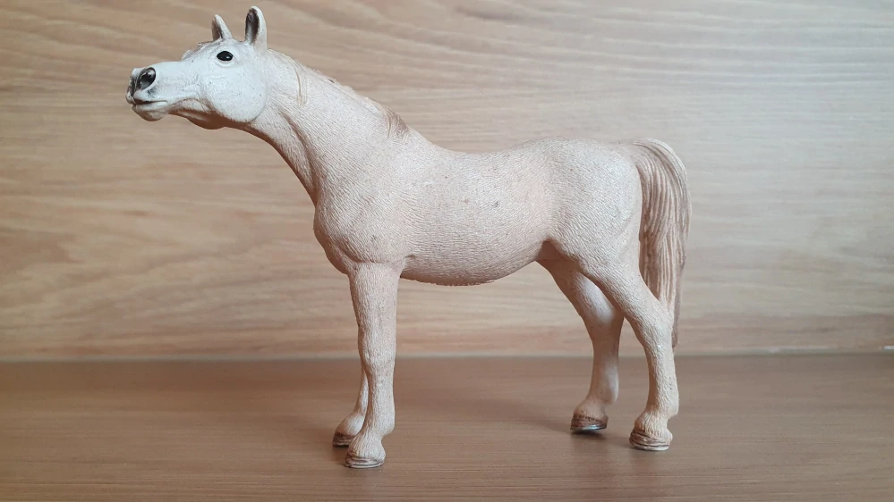 Arabská klisna 13630, model 2007