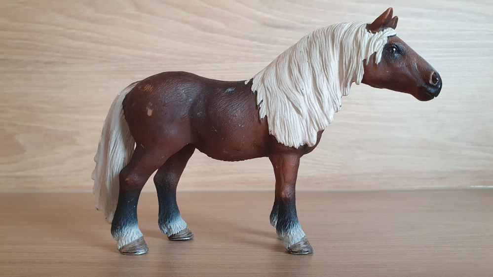 Černá lesní klisna 13664, model 2009