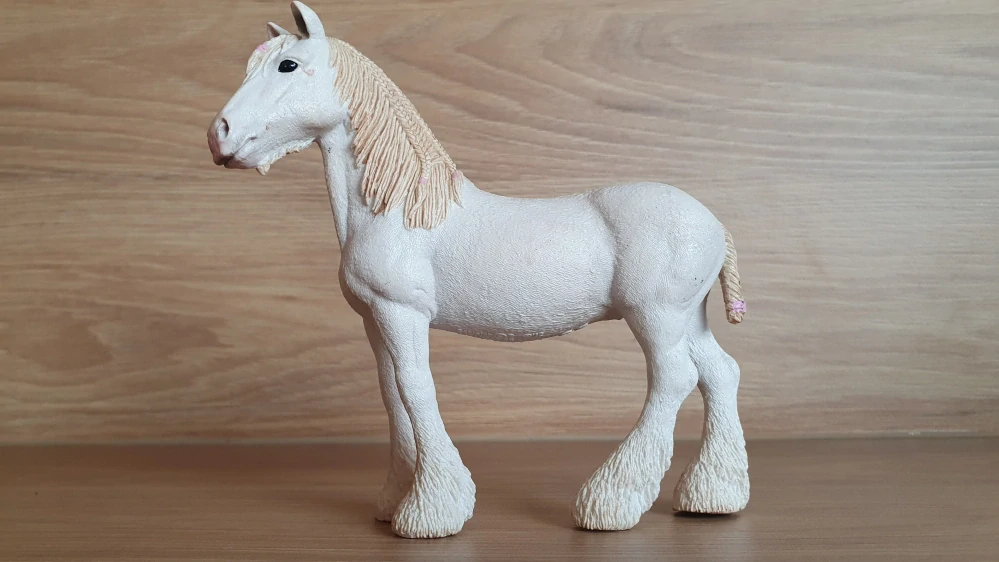 Klisna shirská 13735, model 2012