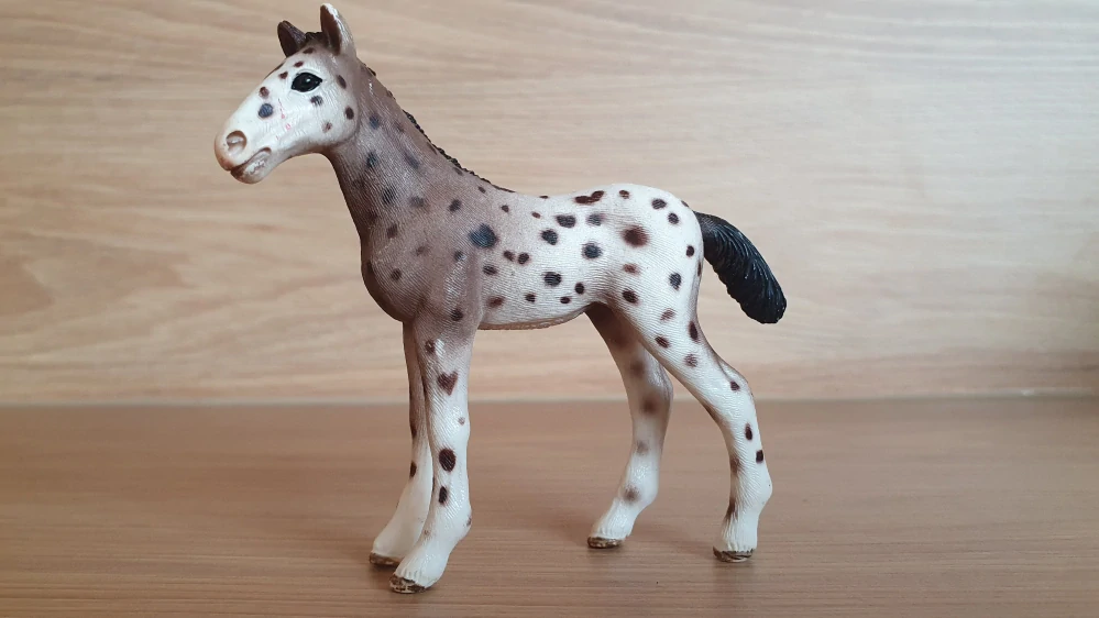 Knabstrupper hříbě 13760, model 2013