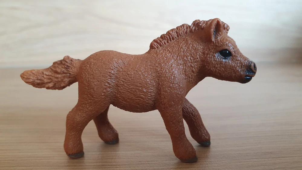 Shetlandský poník 13777, model 2014