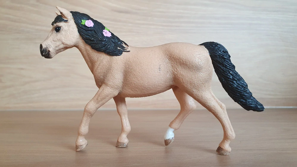 Connemarská pony klisna 13863, model 2017