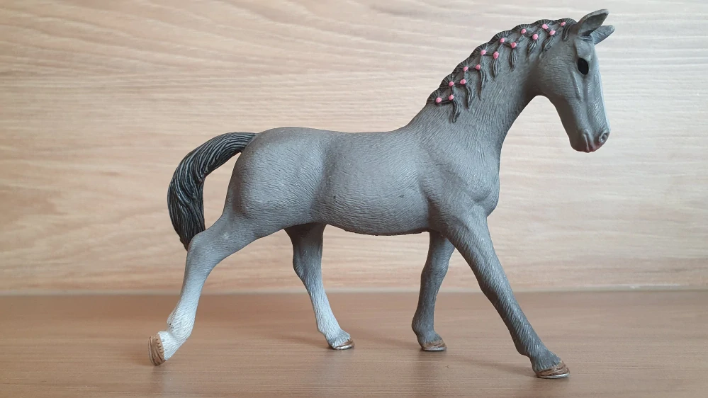 Trakehner klisna 13888, model 2018