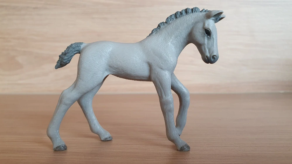 Trakehner hříbě 98269, model 2013