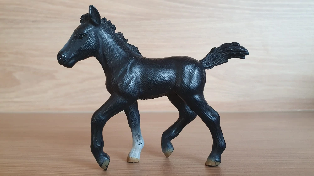 Lipicán hříbě 13294, model 2004
