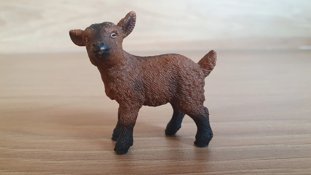 kůzle hnědé 13829, model 2016